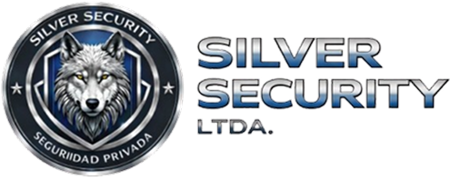 Silver Security Logo
